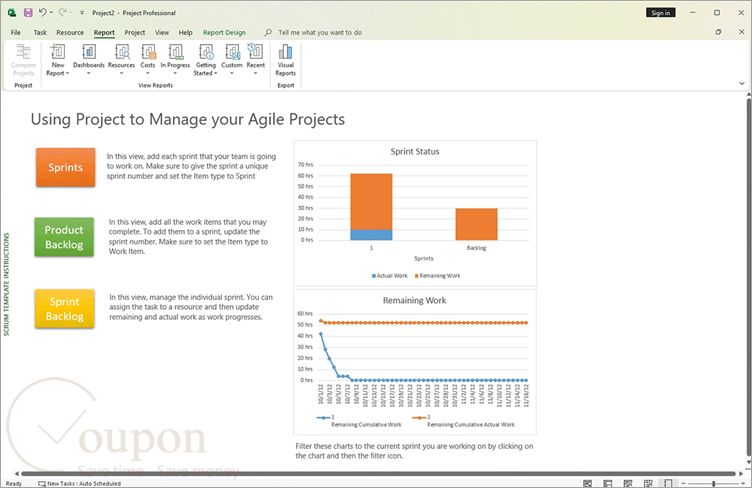 Microsoft Project Screenshot