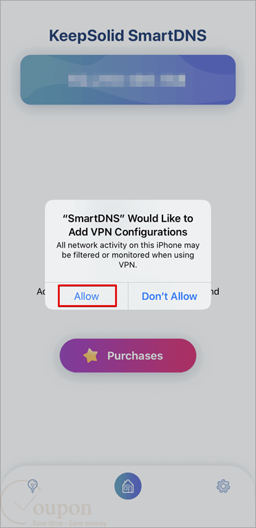 Keepsolid Smartdns Screenshot