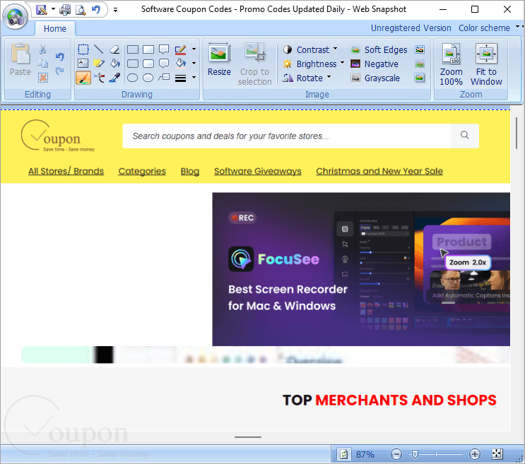 Gadwin Web Snapshot Screenshot