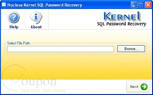 Kernel Sql Password Recovery Screenshot