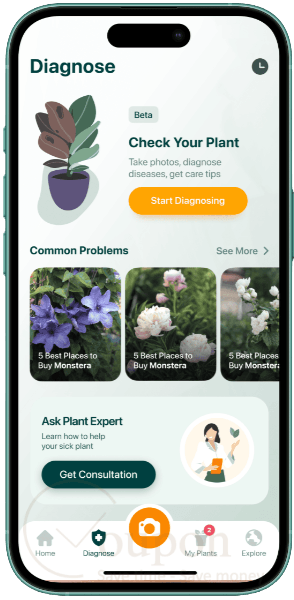 Plantum Screenshot