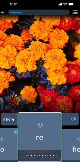 Rosetta Stone Screenshot