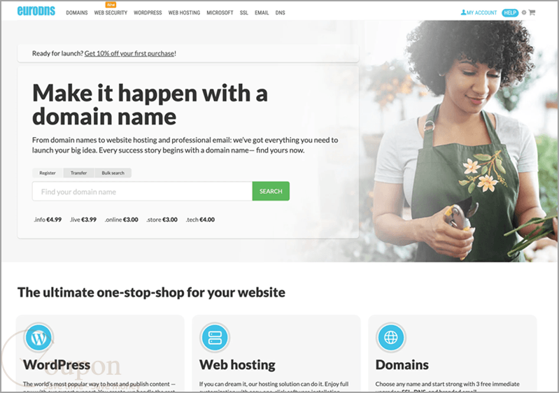 Eurodns Screenshot