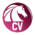 30% Off AKVIS Charcoal Video Coupon May 2026 (Verified)