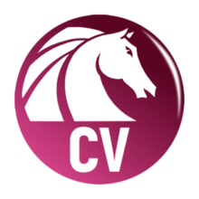 30% Off AKVIS Charcoal Video Coupon May 2026 (Verified)