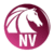 30% Off AKVIS Neon Video Coupon May 2026 (Verified)