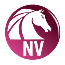 30% Off AKVIS Neon Video Coupon May 2026 (Verified)