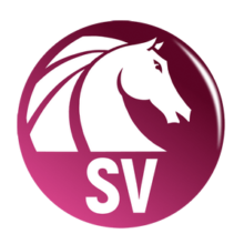 30% Off AKVIS Sketch Video Coupon May 2026 (Verified)