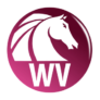 30% Off AKVIS Watercolor Video Coupon Jun 2026 (Verified)