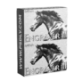 10% Off AlphaPlugins Engraver III Coupon Jun 2026 (Verified)