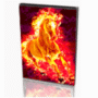 Alphaplugins Firefor (Win)