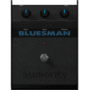 Audiority The Bluesman