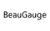 10% Off BeauGauge Instruments Suite Coupon Jun 2026