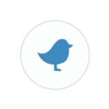 BestWebSoft’s Twitter Pro Coupon Code May 2026 (Verified)