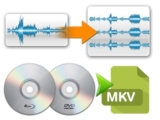 Where I can buy a MakeMKV General license code?