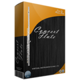 50% Off Concert Flute Coupon Code