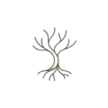 Roots Daily Reflections