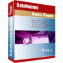 36% Off DataNumen Access Repair Coupon Code May 2026