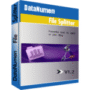 Datanumen Database Recovery