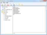 Enjoy Flashpaste 6.21 License Key for FREE!