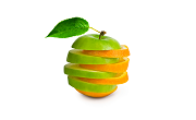 Food Data Services