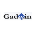 Gadwin