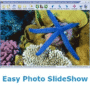Easy Photo Slide Show (Personal License)