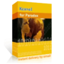 Kernel Recovery For Paradox  - Home License