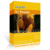 30% Off Kernel Recovery for Paradox Coupon Jul 2026 (Verified)