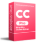 Mockplus Cloud Pro - Monthly