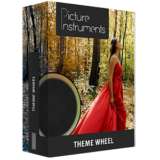Get Deal for Picture Instruments Theme Wheel