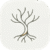59% Off Roots Daily Reflections Coupon Code & Review Aug 2026
