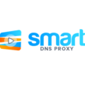 Smart DNS Proxy