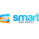 Smart DNS Proxy