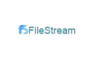 FileStream