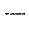 WaveSpeedAI